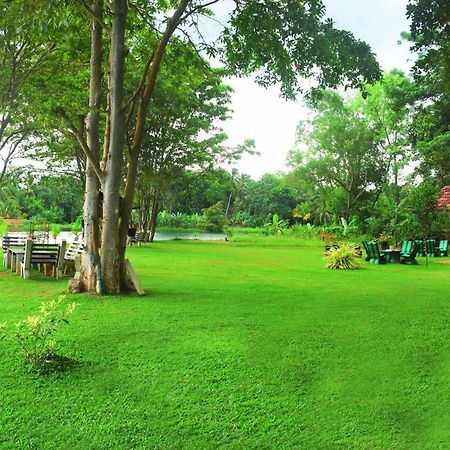 Canal Side Safari Resort Udawalawe Exterior photo