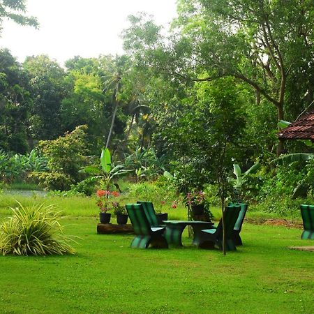 Canal Side Safari Resort Udawalawe Exterior photo