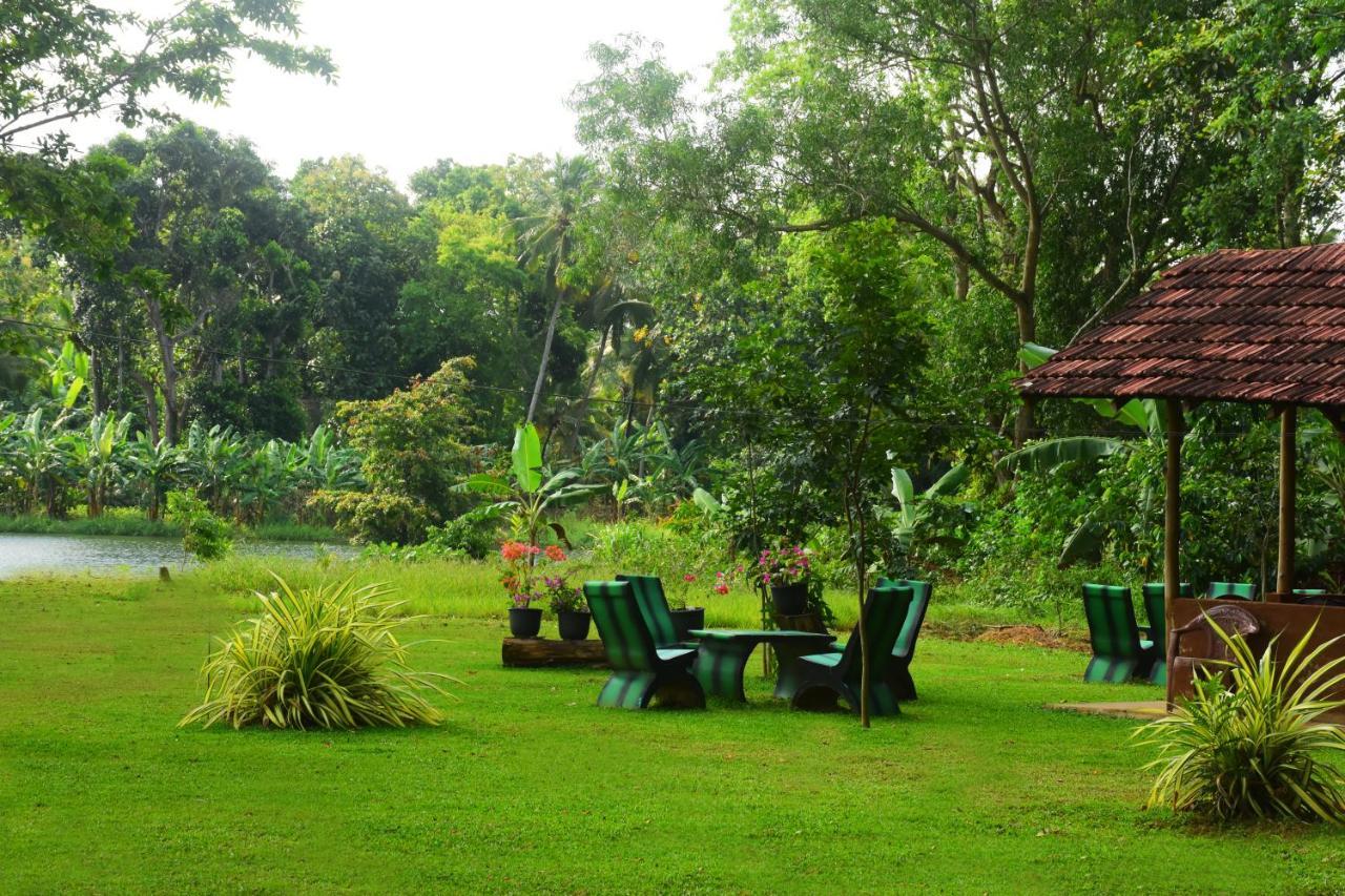 Canal Side Safari Resort Udawalawe Exterior photo