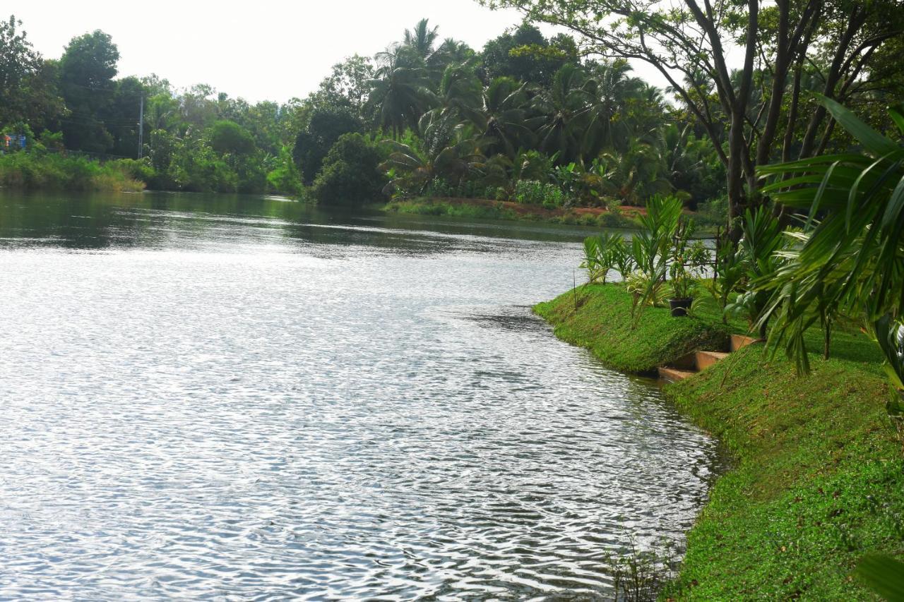 Canal Side Safari Resort Udawalawe Exterior photo