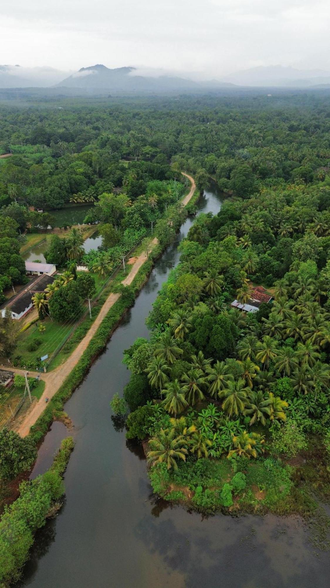 Canal Side Safari Resort Udawalawe Exterior photo